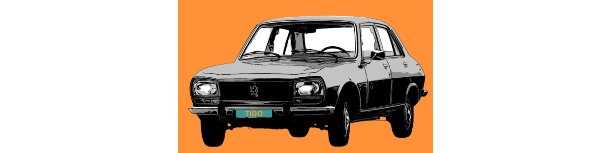 Guarnizioni per Peugeot 504 | Tido Distribution